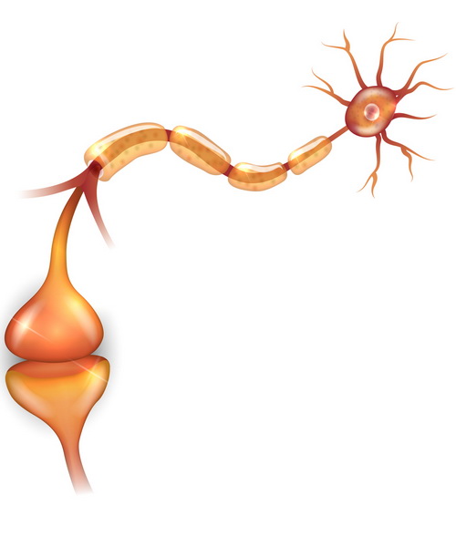 Neuromielite ottica, Aifa approva rimborsabilità di inelizumab